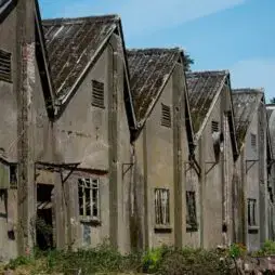 Rappor established in Hereford Feature Image